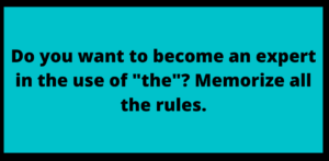 use of the in article