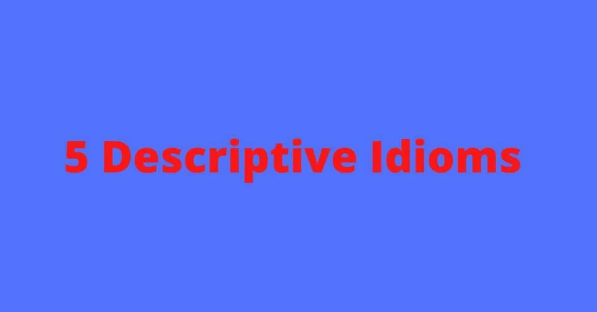 5 Descriptive Idioms To Sound Natural In English | English By Zahid Sir