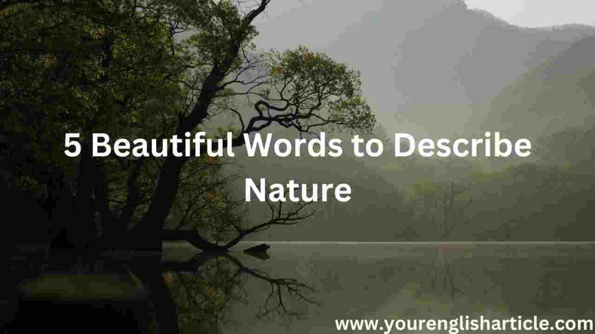 5 Beautiful Words to Describe Nature | English By Zahid Sir